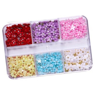 Mixed 3D Flower Nail Charms 6 Grids Nail Style B