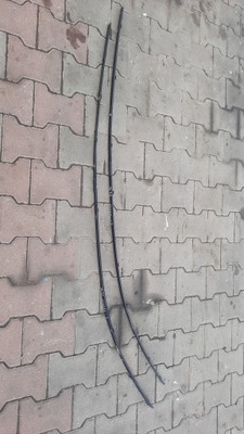 Молдинг дахова mazda 3 05r hb фото №1