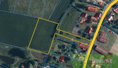 Działka, Rurka, Chojna (gm.), 5000 m²