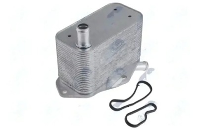 Радиатор масла двигателя ccl-vv-014 nty фото №1