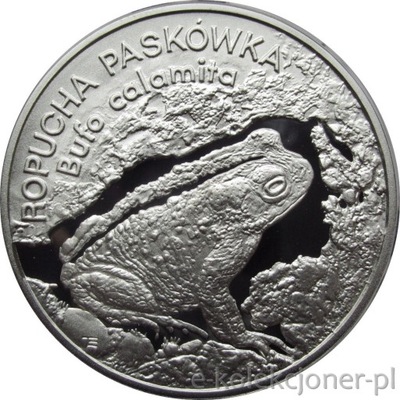 20 ZŁOTYCH 1998 - ROPUCHA PASKÓWKA - MENNICZA