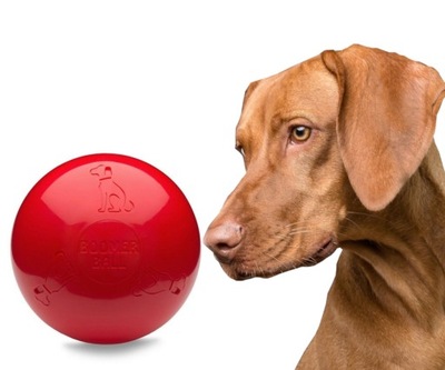 Niezniszczalna piłka dla psa Boomer 25cm czerwona