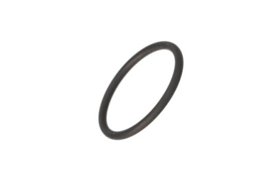 O-RING Case IH