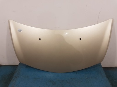 RENAULT CLIO III HOOD FRONT TED11  