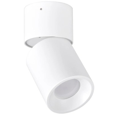Lampa oprawa sufitowa regulowana punktowa biała tuba nowoczesna 17 cm Polux