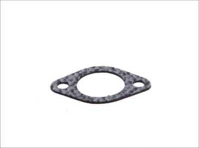 Прокладка насоса wody iveco daily фото №1