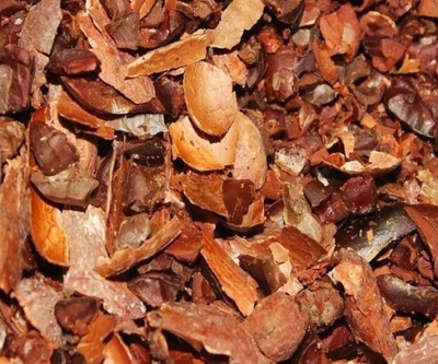 Łuska Kakao Łuski Theobroma Cacao Łupina 1000 g
