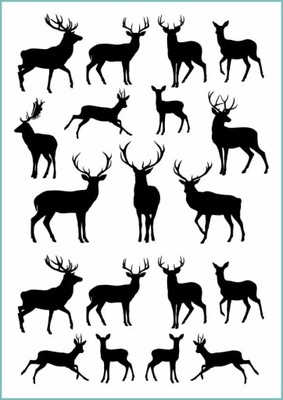 Tatuaże tymczasowe jelenie i sarny zwierzęta A4