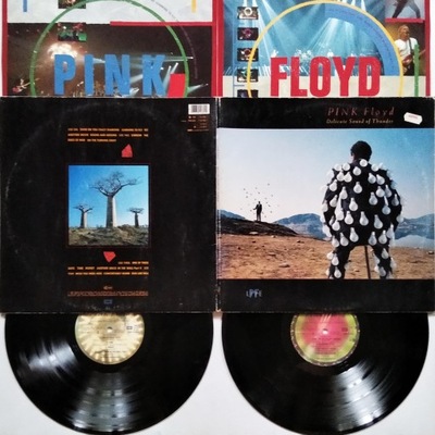 2 LP: Pink Floyd - Delicate Sound Of Thunder - 1988 - Holland - DMM - VG