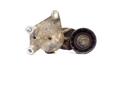 C3 i 02r- ролик натяжитель ремень 1.4 hdi фото №1