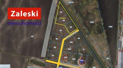 Działka, Pruszcz Gdański, 3394 m²