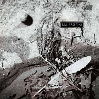 David Sylvian - Secrets Of The Beehive (vinyl) (winyl)