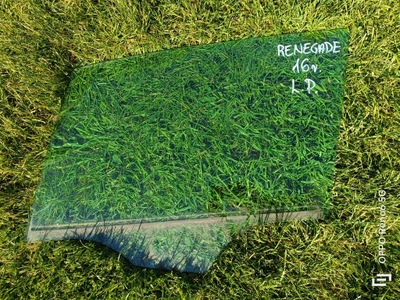 Скло двері лівий перед jeep renegade 2016r. фото №1