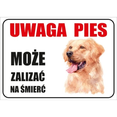 Tabliczka PVC z nadrukiem UV A5 UWAGA PIES