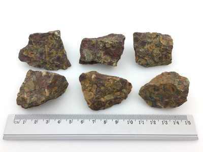 jaspis muszlowy naturalny surowy kamień