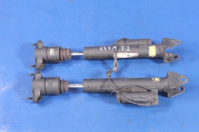 Амортизатор airmatic задняя mercedes w251 06r фото №1