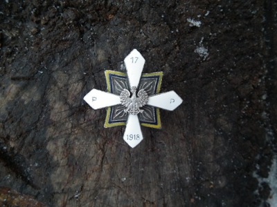 Odznaka pułkowa 17 pułk piechoty Rzeszów