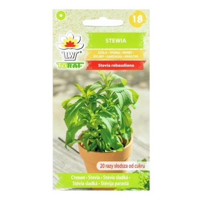 STEWIA Stevia rebaudiana nasiona ziół 10mg