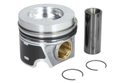 Kolbenschmidt 41270620 поршень фото №1