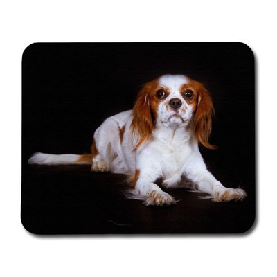 Cavalier King Charles Spaniel Podkładka pod mysz