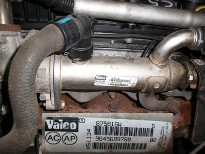 Радіатор вихлопних газів citroen c5 lift 2.0 hdi фото №1