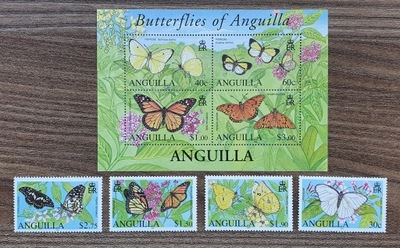 Fauna - Motyl - Motyle - Anguilla