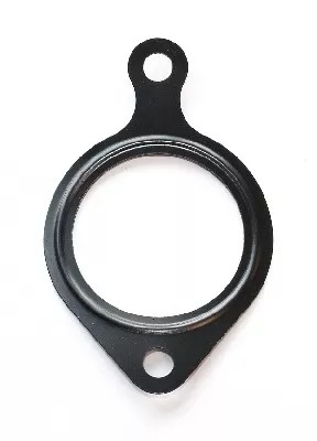 Elring 422.920 прокладка, корпус колектор впускний фото №1