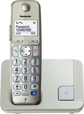 Telefon stacjonarny PANASONIC KX-TGE210PDN