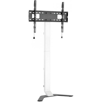 Stojak podłogowy Techly 32"-70" 40kg Slim