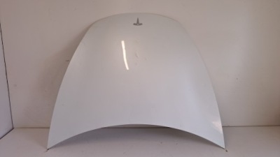 Капот tesla model 3 grad фото №1