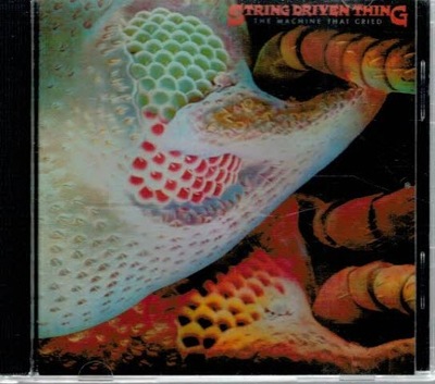 CD String Driven Thing - The Machine That Cried