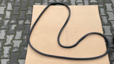 Прокладка двері правих права man tgl euro 6 24r model фото №1