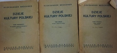 Dzieje kultury polskiej zestraw 3 książek z