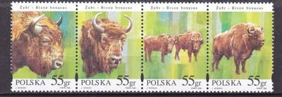 3481-84** 1996r NIEROZERWANY PASEK