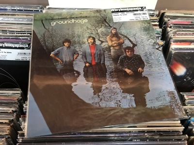 Groundhogs – Scratching The Surface - LP, USA,NOWA