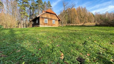 Dom, Godowa, Strzyżów (gm.), 68 m²