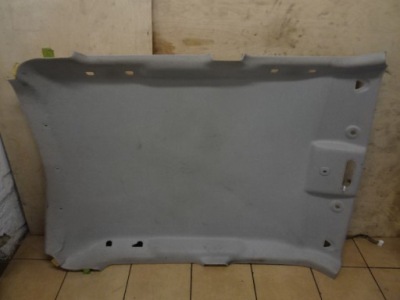 Потолок потолок juke i f15 eu фото №1