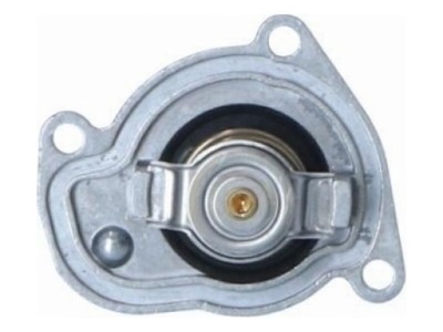 Термостат nrf 725008 фото №1