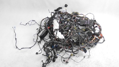 Bmw 2 f45 електропроводка салону комплектна europa navi автоматична коробка передач 2,0d x-drive фото №1