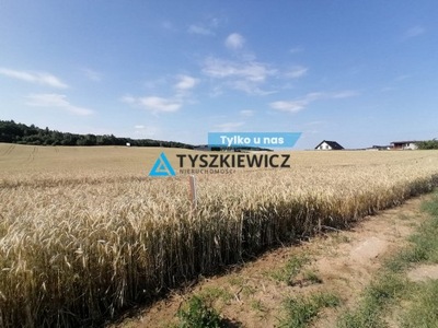 Działka, Ropuchy, Pelplin (gm.), 1212 m²