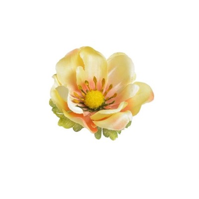 ANEMON GŁÓWKA WYROBOWA