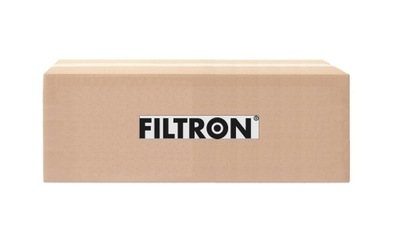 FILTRO AIRE FILTRON AP 034/3-2X  