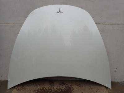 Капот крышка перед tesla model 3 3 2017- фото №1