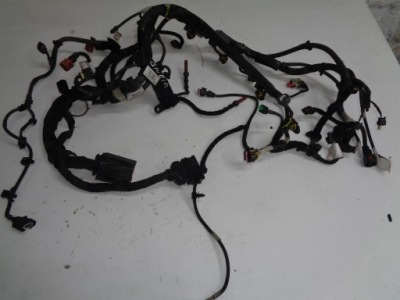 Alfa romeo giulia 2.2 jtd жгут электропроводка двигателя 16r- фото №1