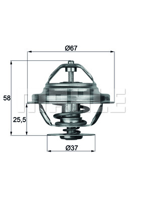 MAHLE TX 20 80D TERMOSTAT, VIDURYS AUŠINAMASIS 