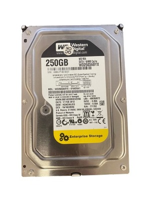 Dysk HDD 3.5 250GB 64MB 7200 RPM WD2503ABYX WD