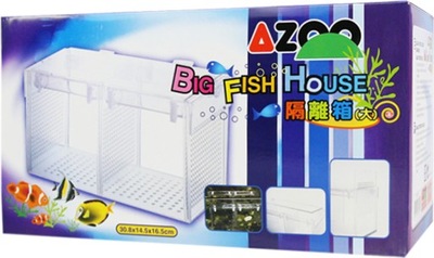 AZOO BIG FISH HOUSE - DUŻY KOTNIK