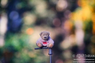 JUPITER 250/3.5 M42 + adapter Micro 4/3 | Sprawny, ostry - SAMPLE