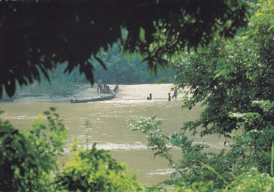AMAZONIA - RZEKA