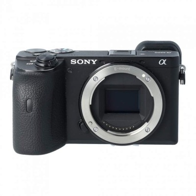 Sony A6600 body